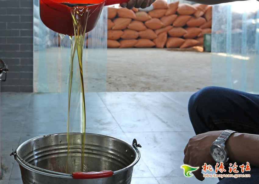 银河集团官网,油茶莳植生产加工销售,植物油莳植生产加工销售