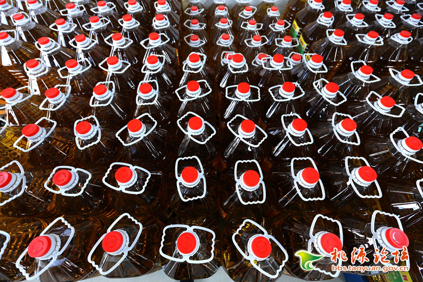 银河集团官网,油茶莳植生产加工销售,植物油莳植生产加工销售