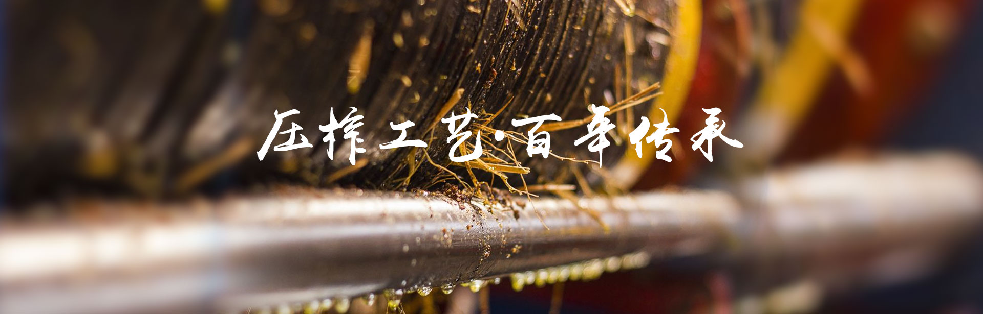 银河集团官网_油茶莳植生产加工销售|植物油莳植生产加工销售 银河集团官网_油茶莳植生产加工销售|植物油莳植生产加工销售