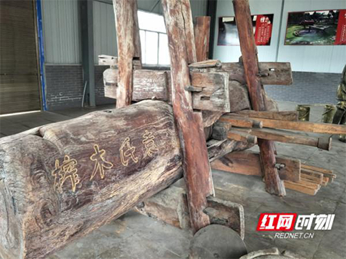 银河集团官网,油茶莳植生产加工销售,植物油莳植生产加工销售