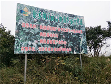 银河集团官网,油茶莳植生产加工销售,植物油莳植生产加工销售