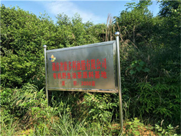 银河集团官网,油茶莳植生产加工销售,植物油莳植生产加工销售